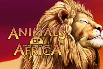 animals of africa